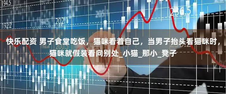 快乐配资 男子食堂吃饭，猫咪看着自己，当男子抬头看猫咪时，猫咪就假装看向别处_小猫_那小_凳子