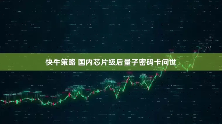 快牛策略 国内芯片级后量子密码卡问世